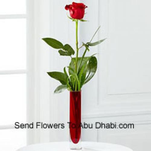 Cute Single Red Rose