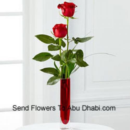 2 Dolci Rose Rosse in Vaso