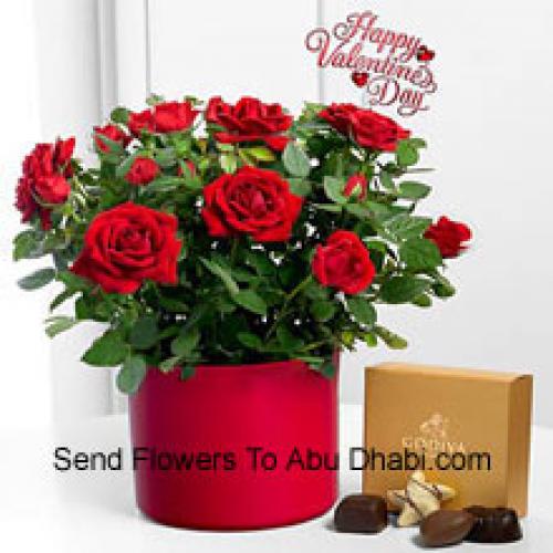 24 Red Roses with Yummy Godiva Chocolates